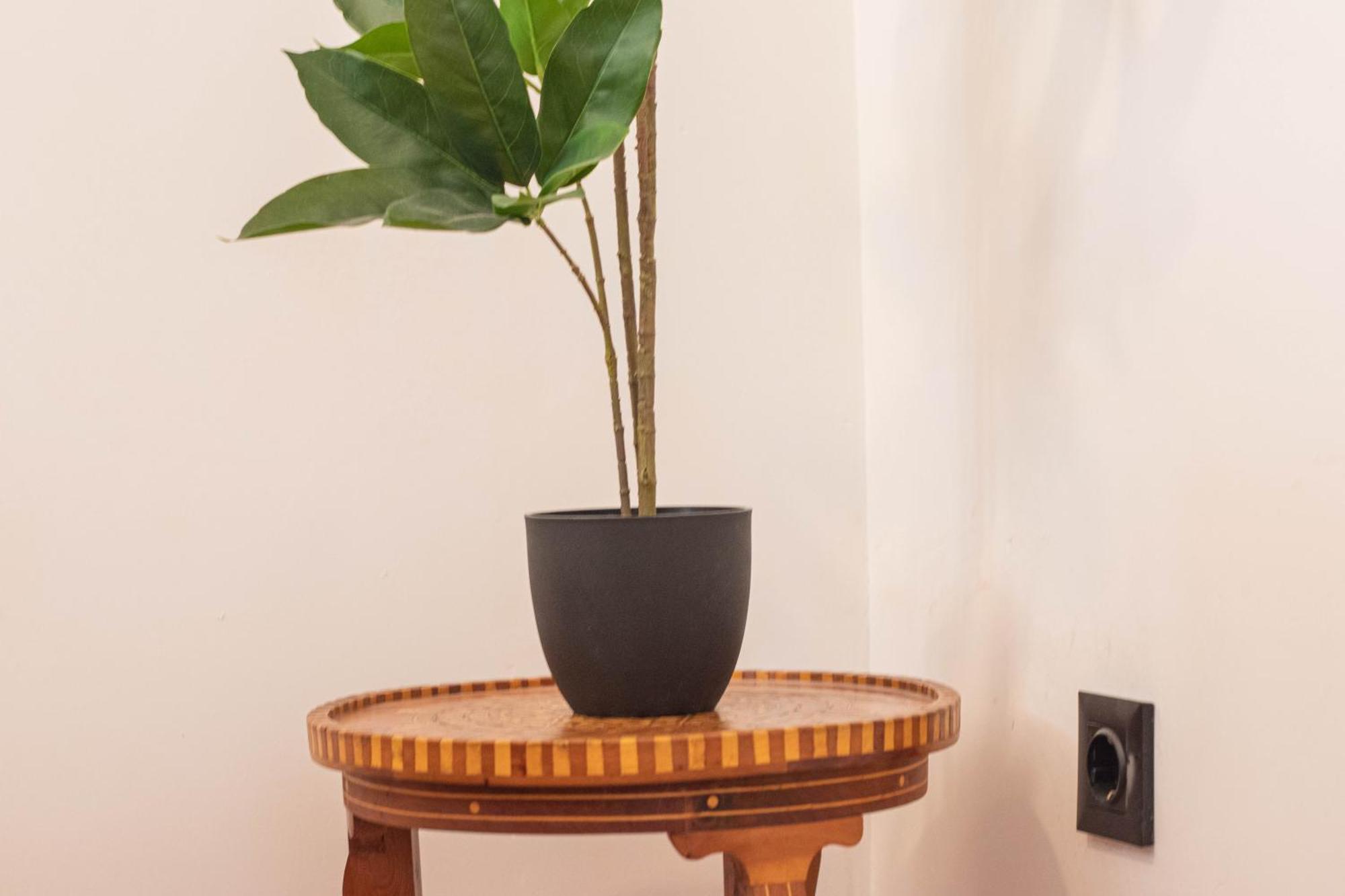 Elvira 54 Apartment Granada Luaran gambar